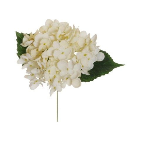 PICK ORTENSIA D16 POP CORN CREMA